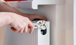 Lorem ipsum dolor sit