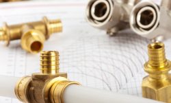 Etiam commodo convallis